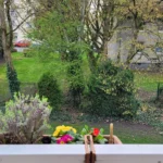 Blick vom Balkon