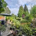 Blick in den Garten